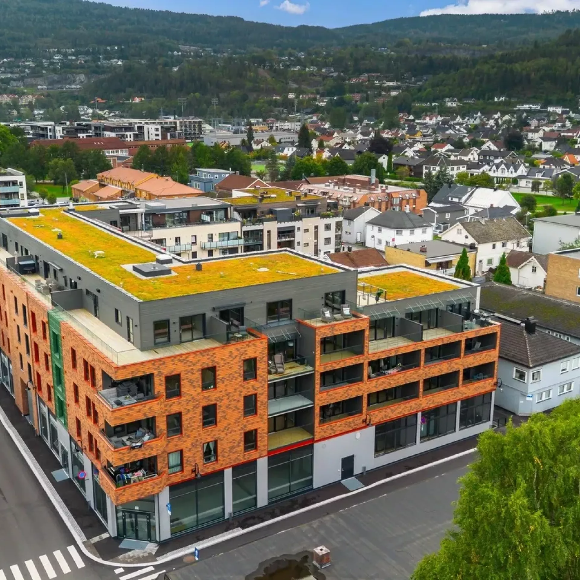 Fasadebilde smiehagen