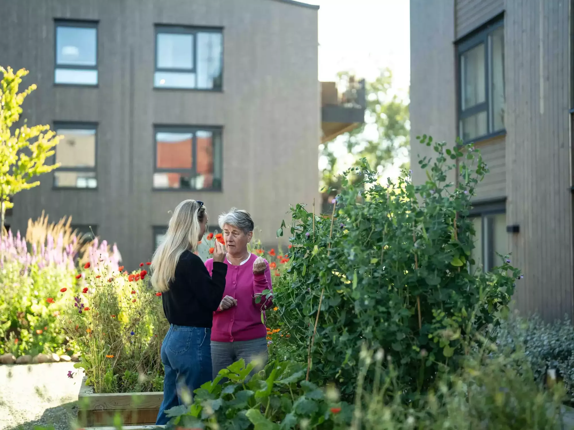 Gartnersletta Leiligheter Uteomrade sommer2026 18
