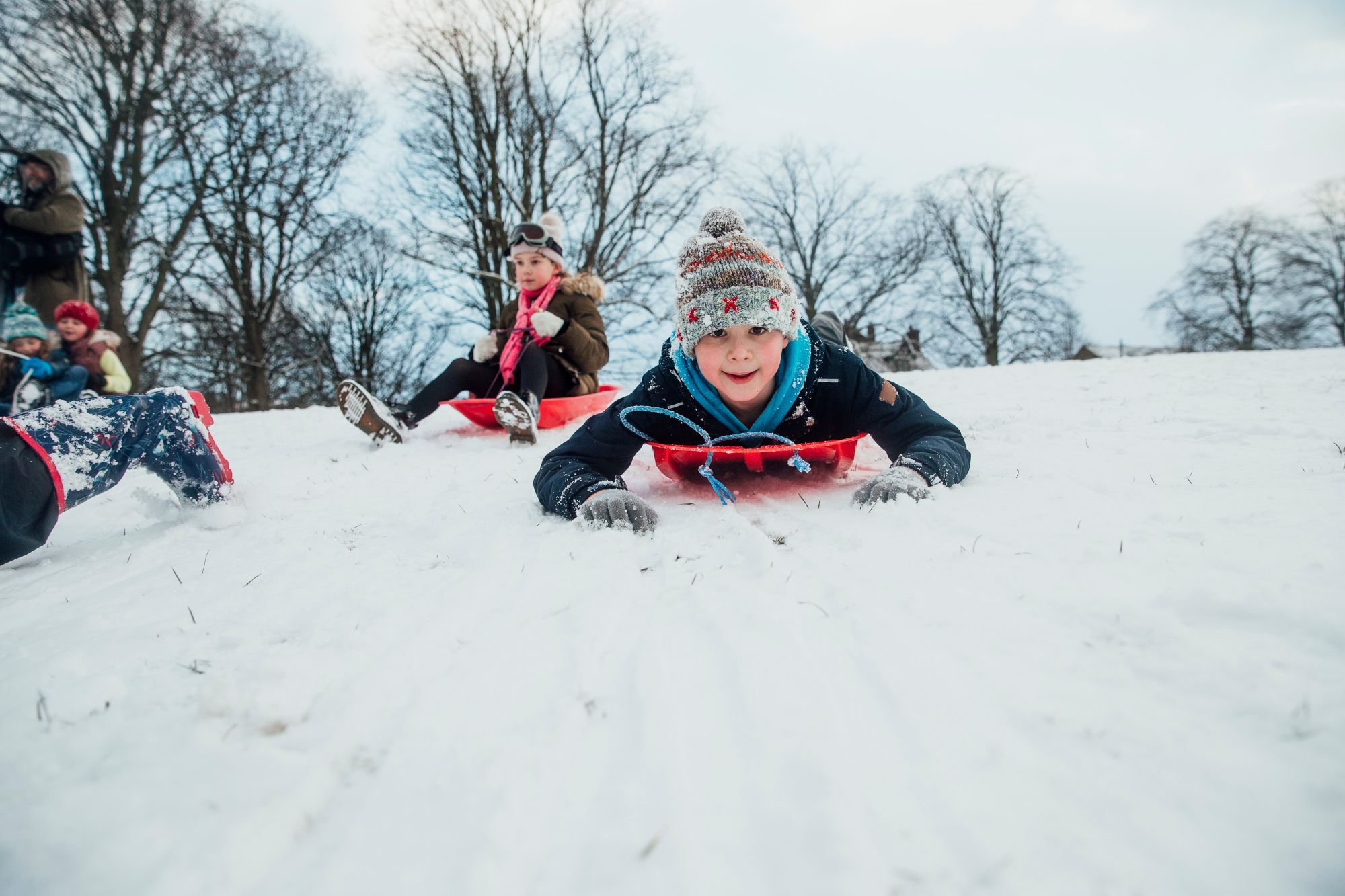 Shutterstock 1120028339