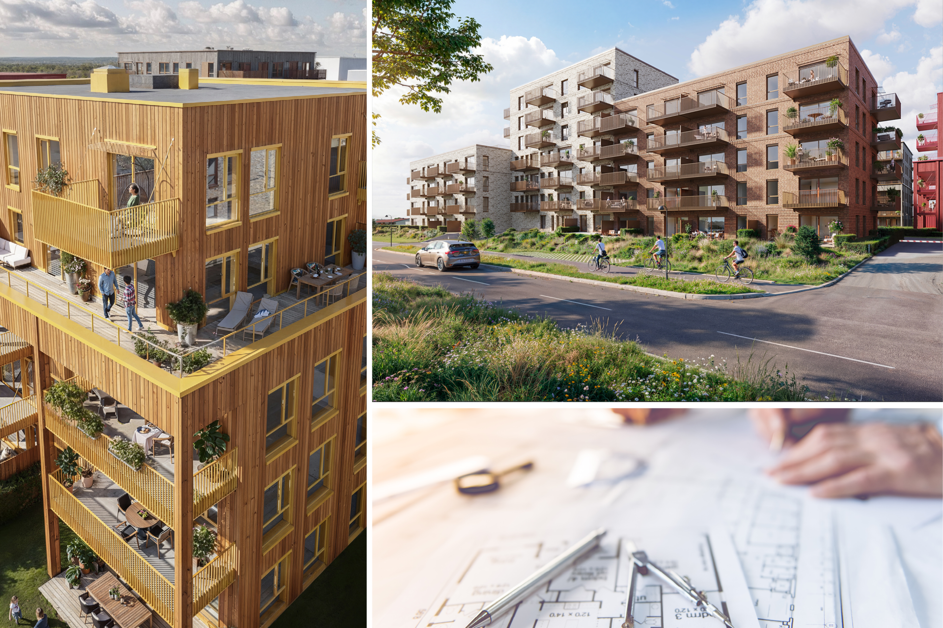 Arkitekt